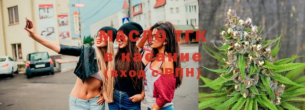 сатива Белокуриха