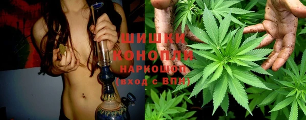 сатива Белокуриха
