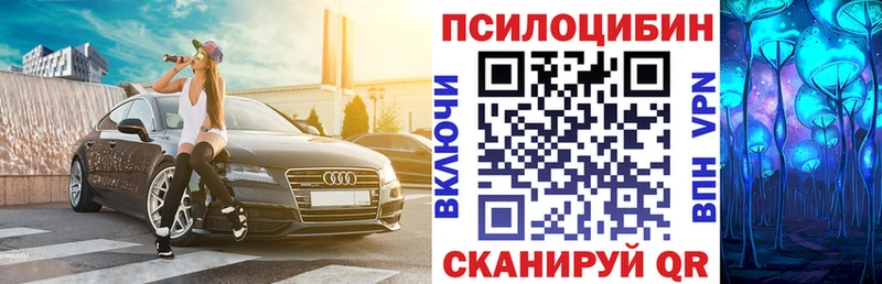 Псилоцибиновые грибы Psilocybe  Салаир 
